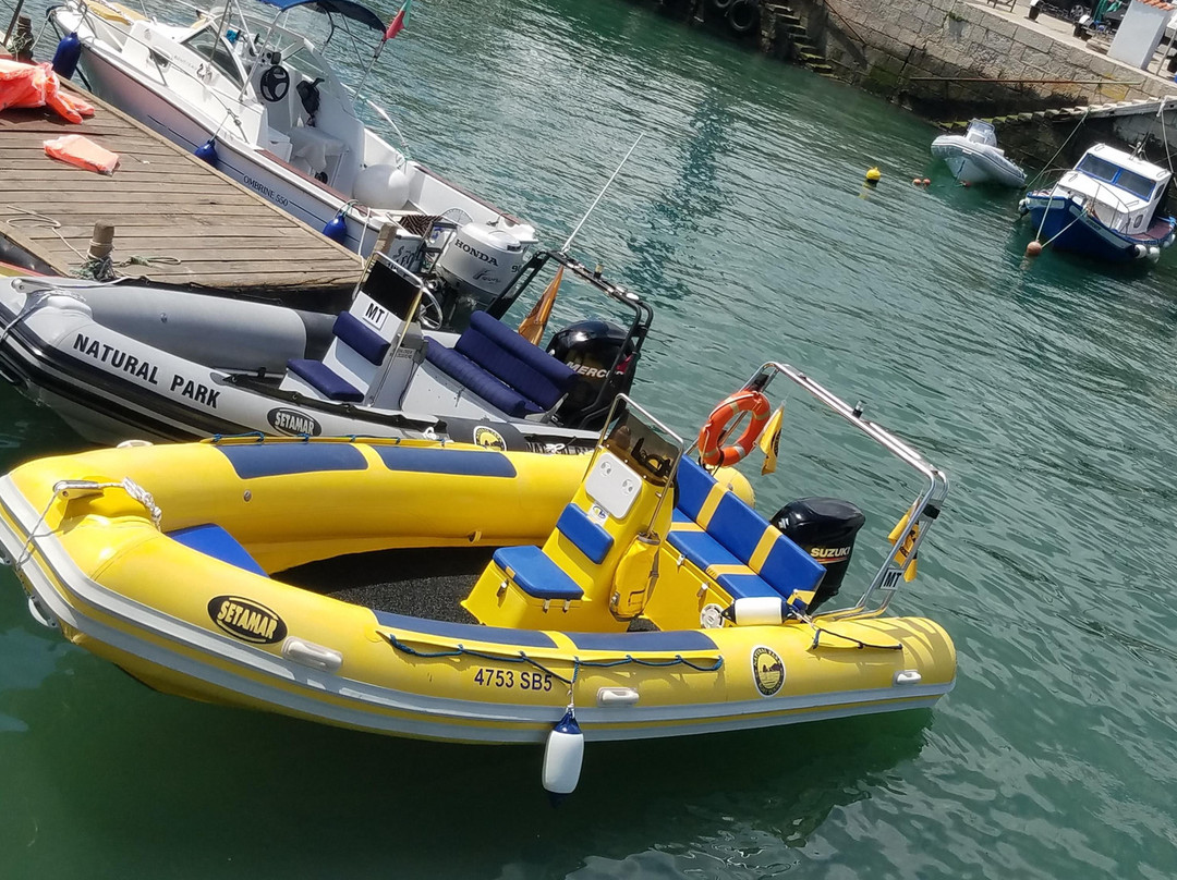 Natural Park Boat Tours-Setubal必去景点