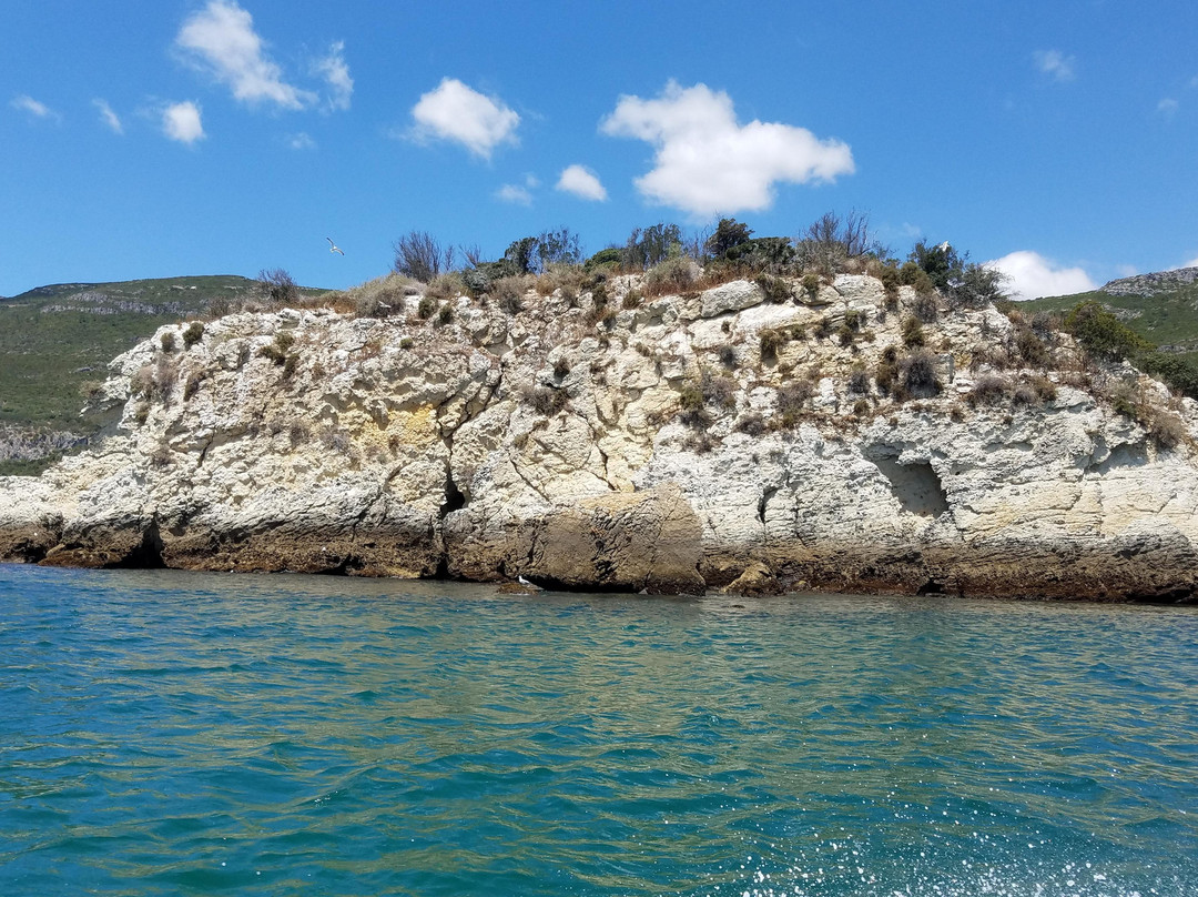 Natural Park Boat Tours-Setubal必去景点