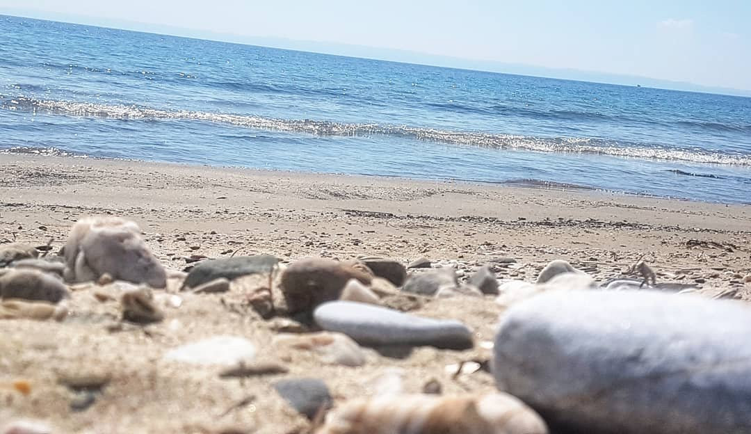 Elizabeth's House主图