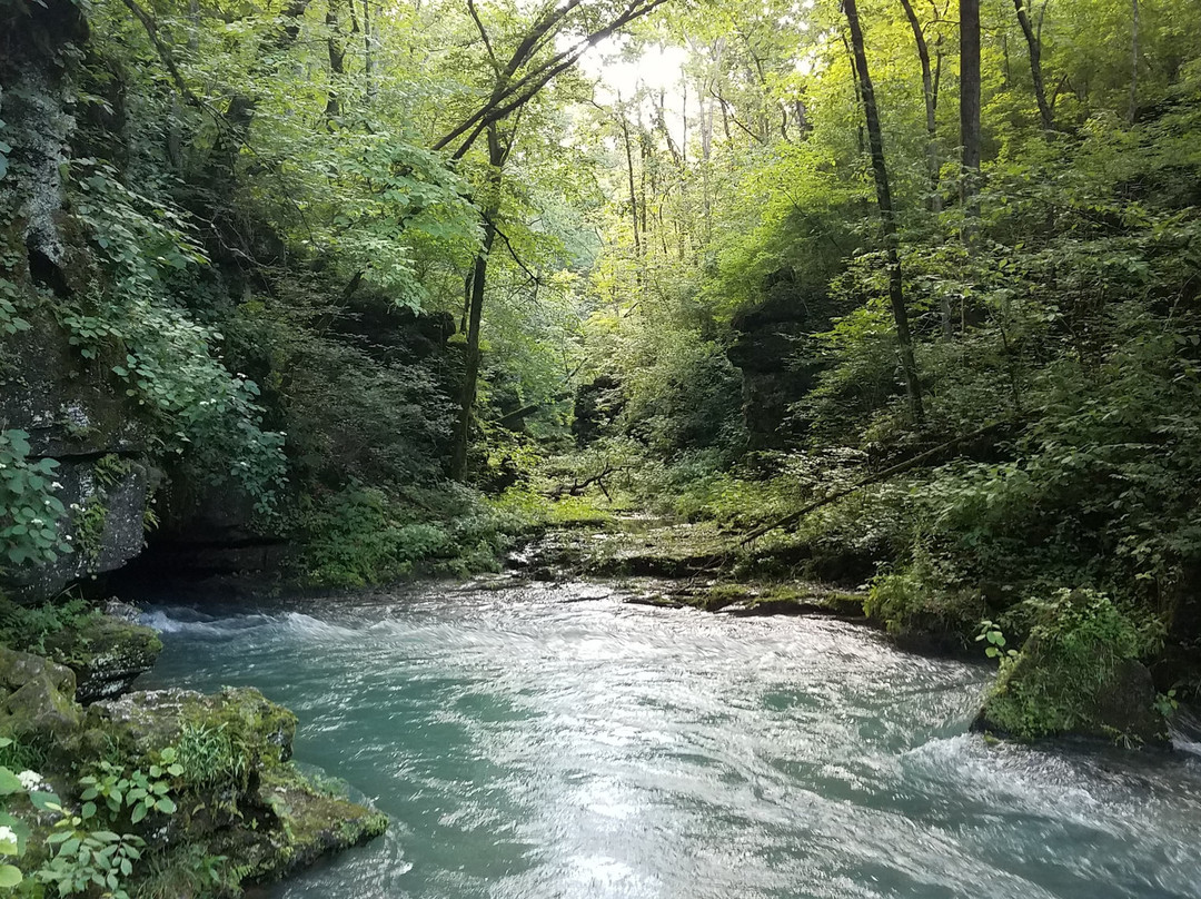 Mark Twain National Forest景点图片