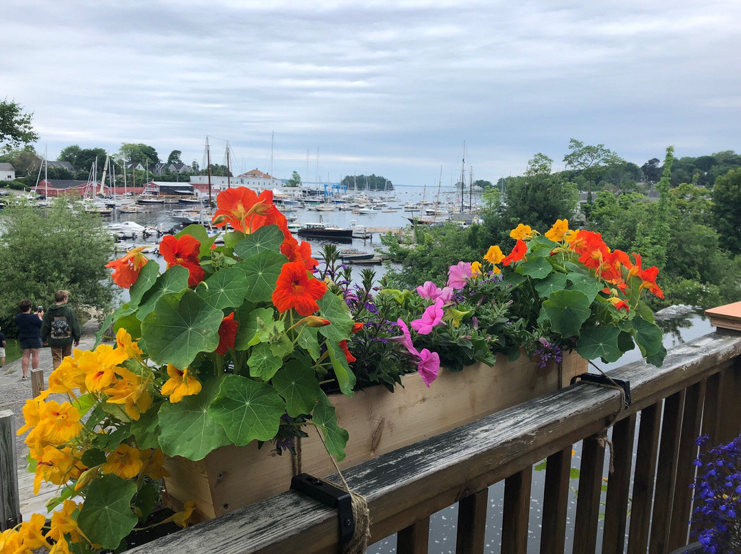 The Smiling Cow-卡姆登必去景点