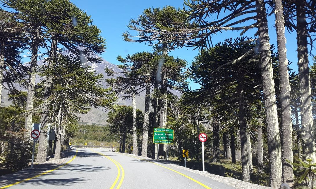 Mamuil Malal Pass-Curarrehue必去景点