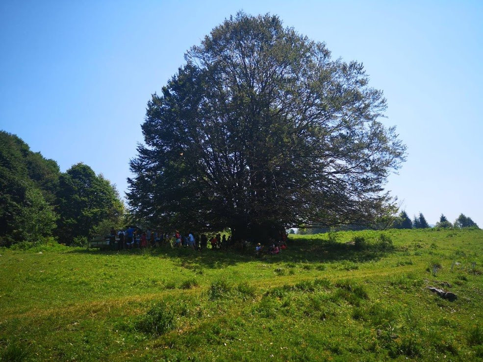 Hotel Bucaneve主图