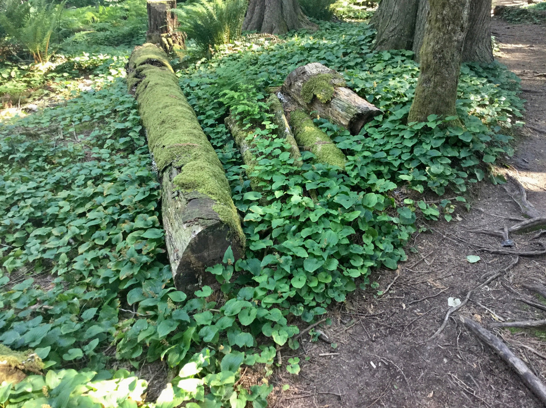 Spirit Trail Walk-哈里逊温泉必去景点
