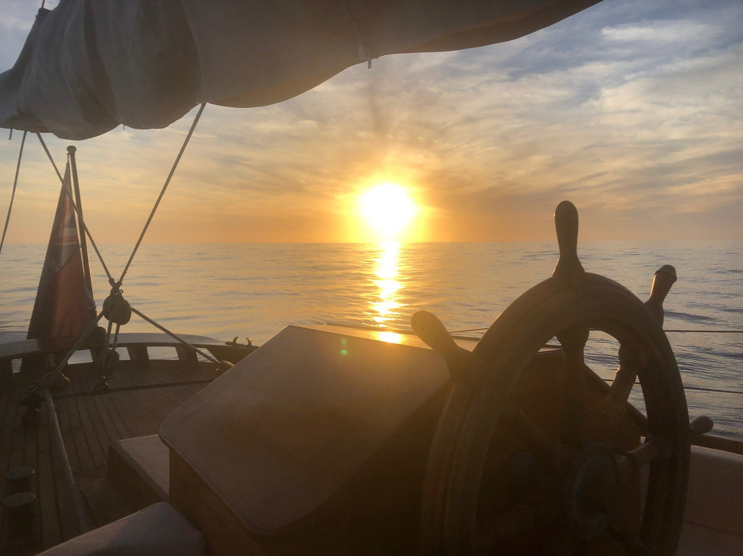 Owl 1909-Port d'Andratx必去景点