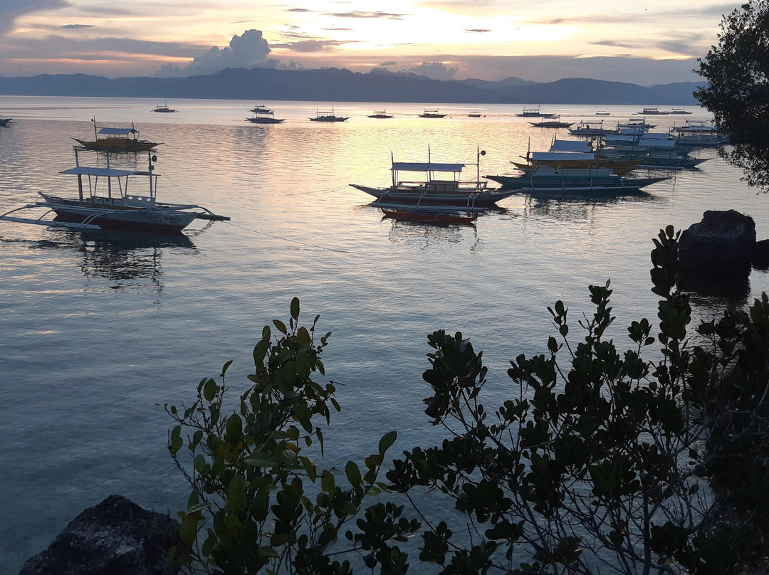REM Tour, Island Hopping-莫阿尔博阿尔必去景点