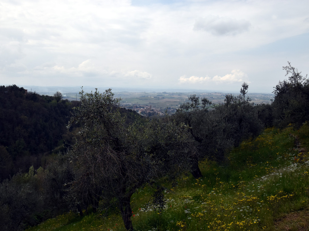 STRADA VERDE