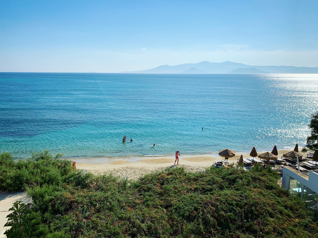 Castello Studios主图