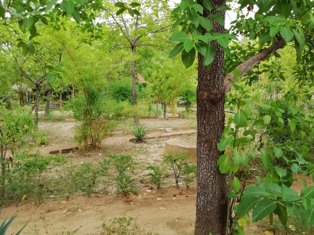 Pug Mark Resort主图