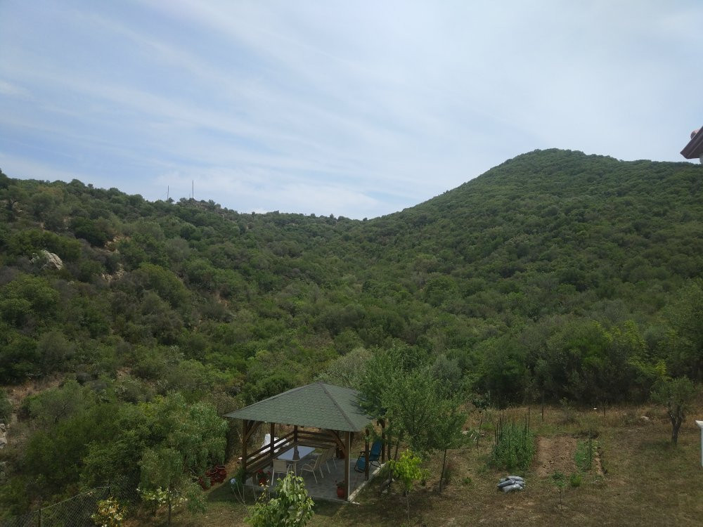 Platania House主图