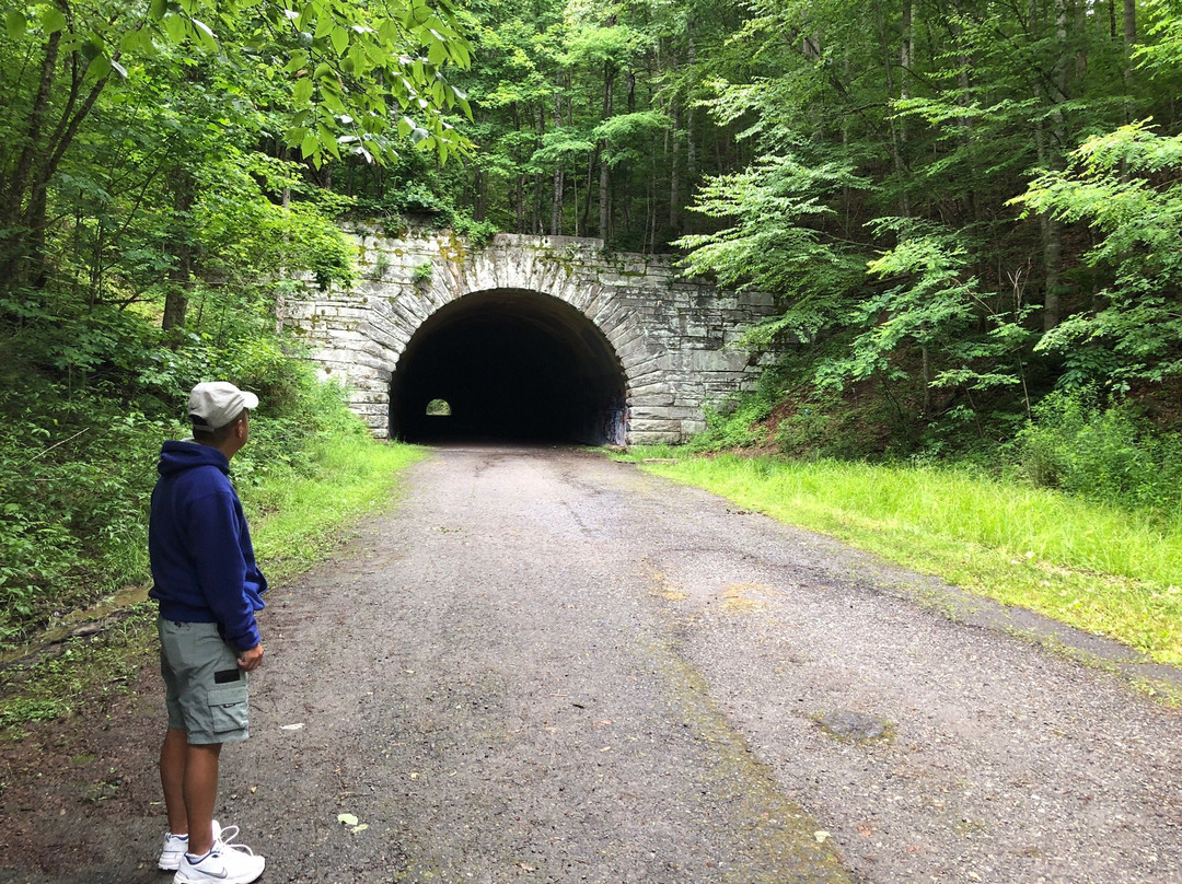 The Tunnel To Nowhere景点图片