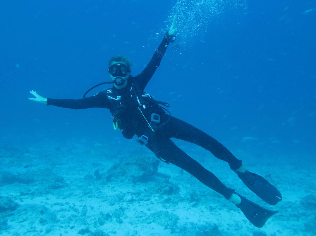 Dive Point Zanzibar景点图片