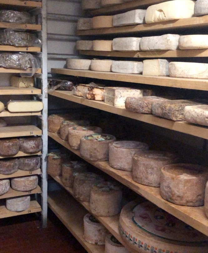 Giolito Cheese-Bra必去景点