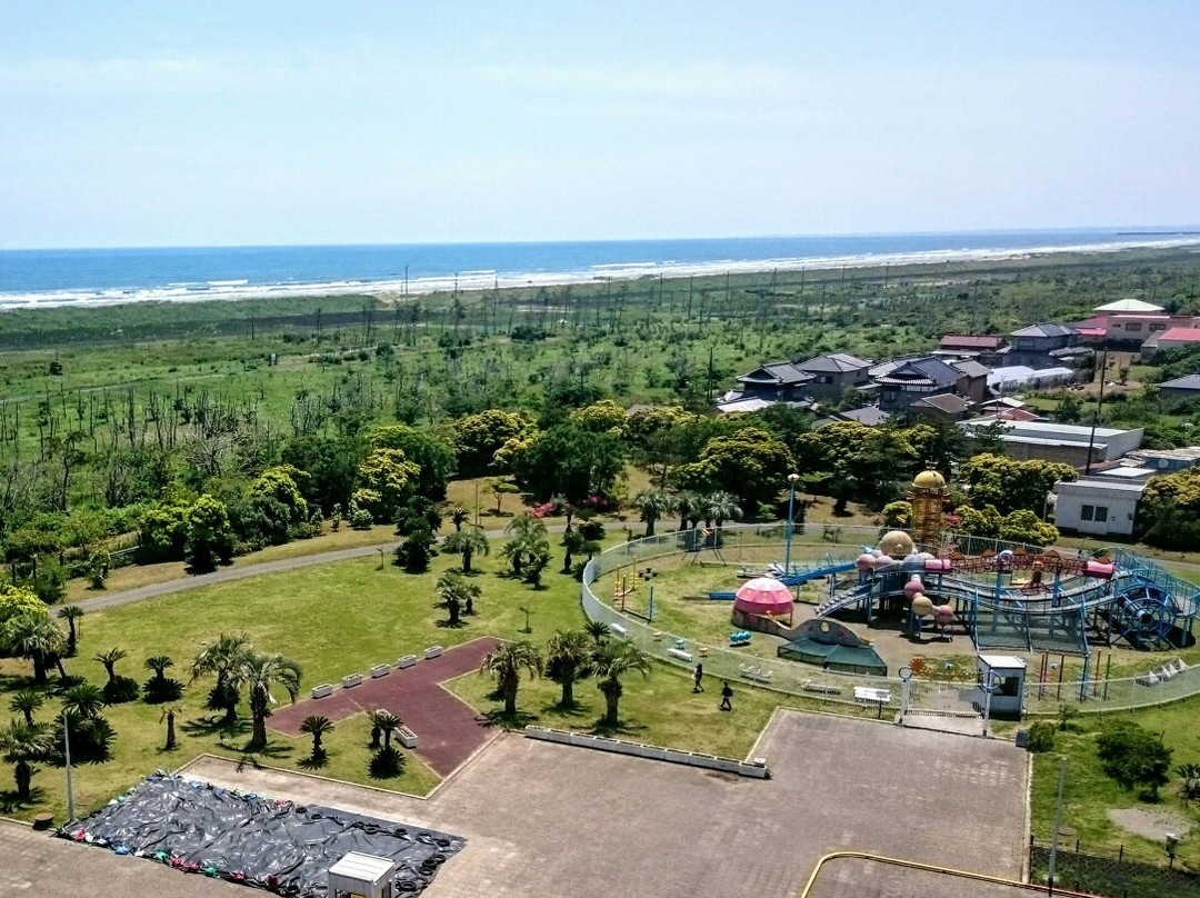 Hasunuma Ocean Park-山武市必去景点
