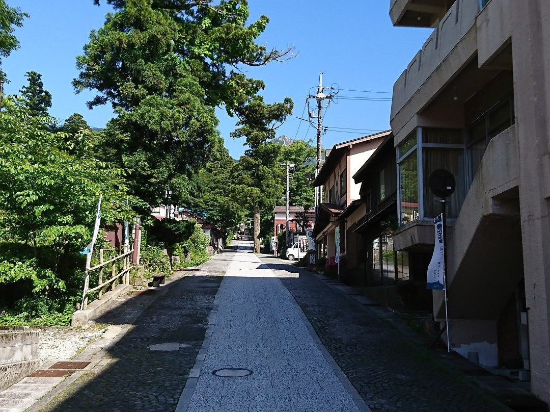 Daisen-ji Temple景点图片