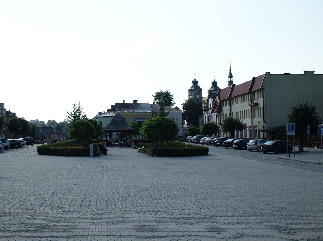 Opatow Market Square (Opatow Rynek)景点图片