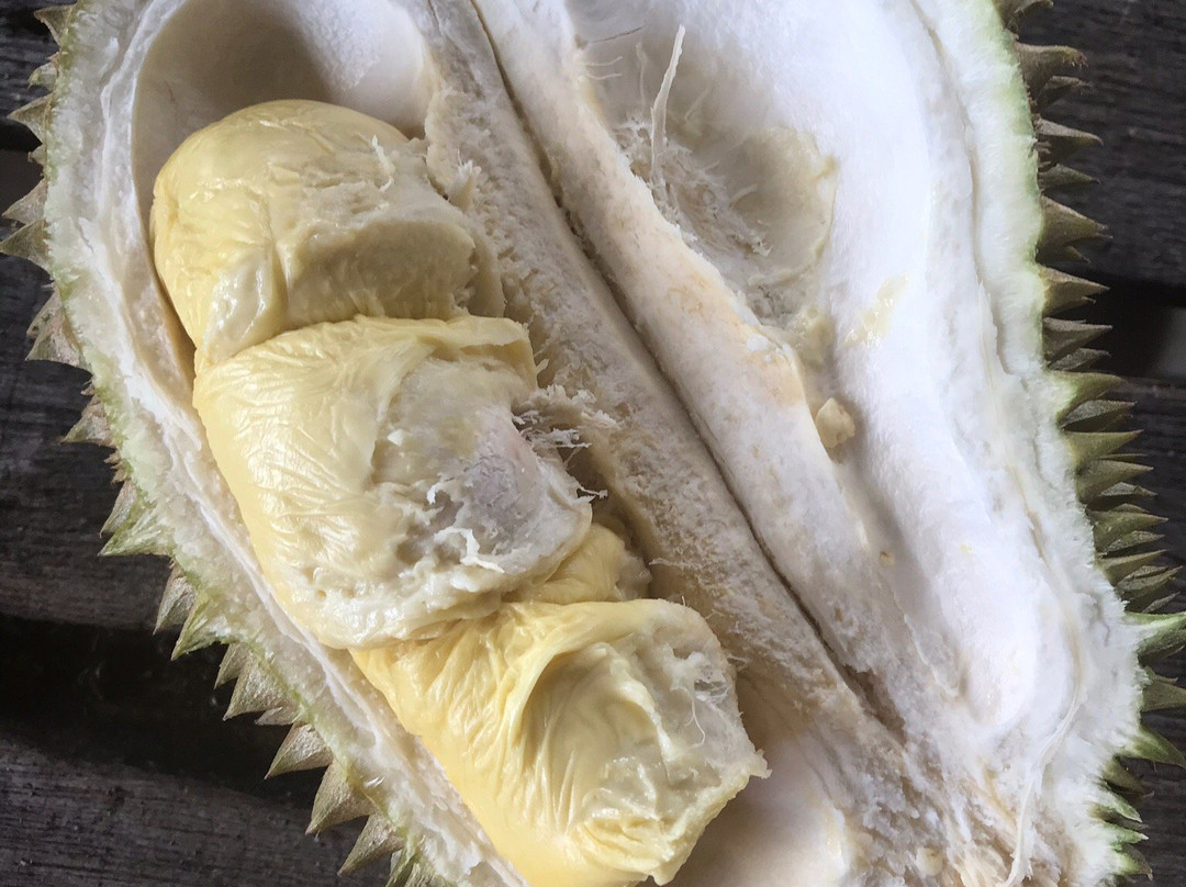 Bao Sheng Durian Farm景点图片