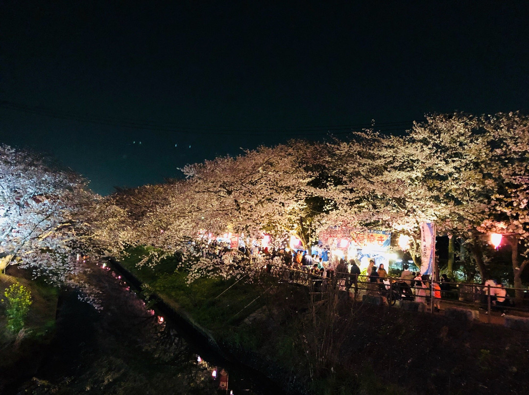 Ebi River-船桥市必去景点