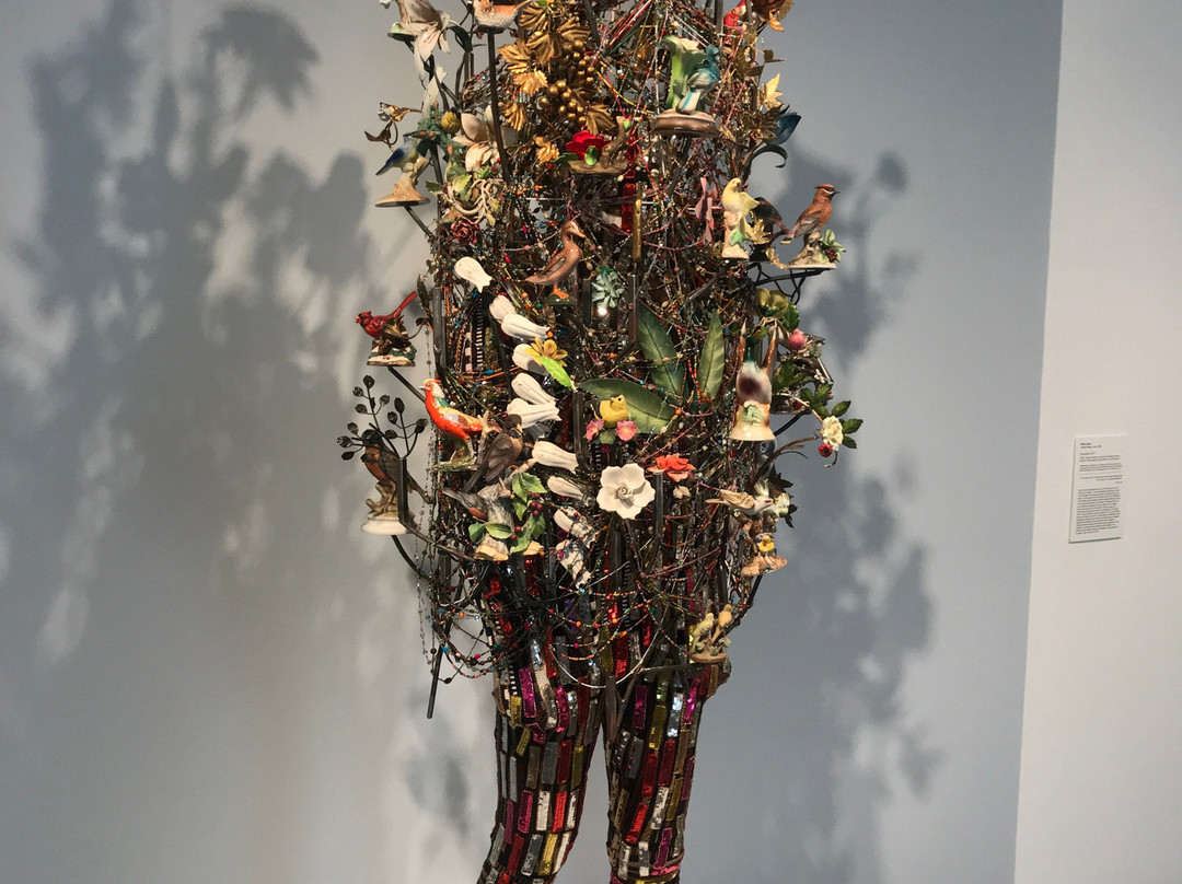 Weatherspoon Art Museum景点图片