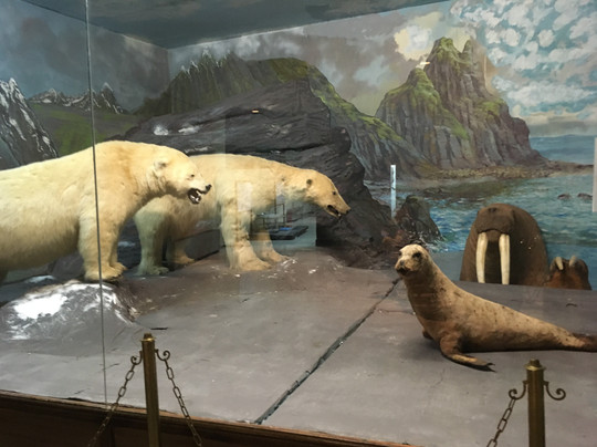 Mousio Zoologias Panepistimiou Athinon-雅典必去景点