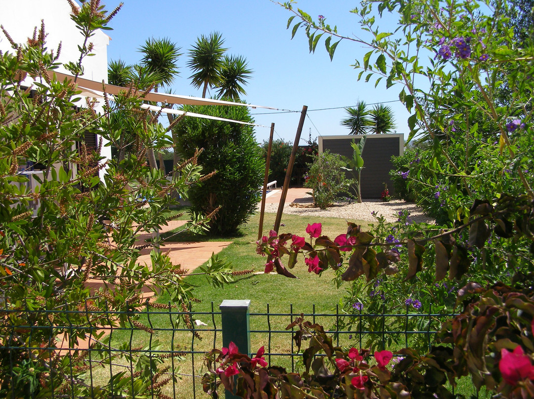 Quinta Das Amendoeiras B&B