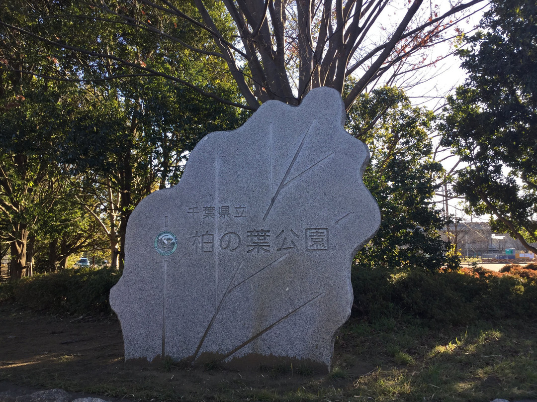 Chiba Kashiwanoha Park-柏市必去景点