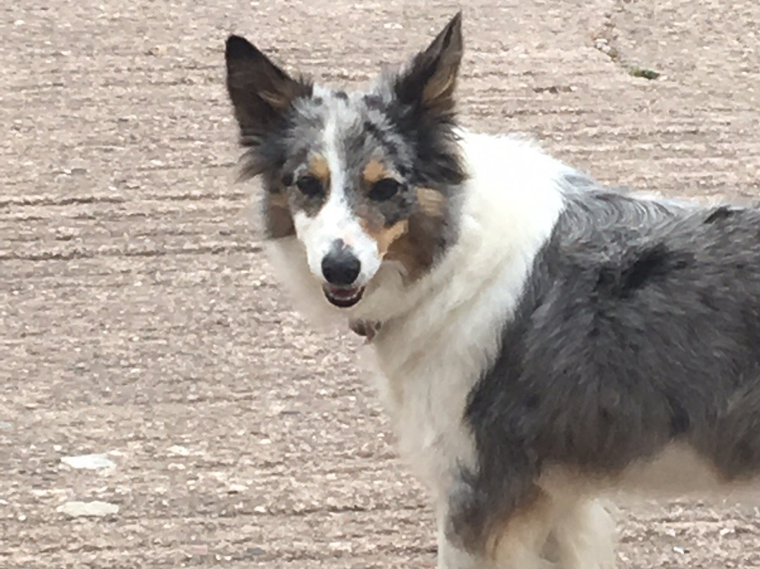 Mincombe Barn Bed & Breakfast主图