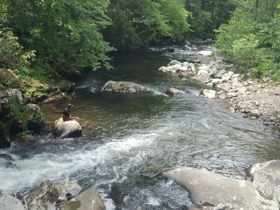 Green Cove Angler Store & Lodge主图