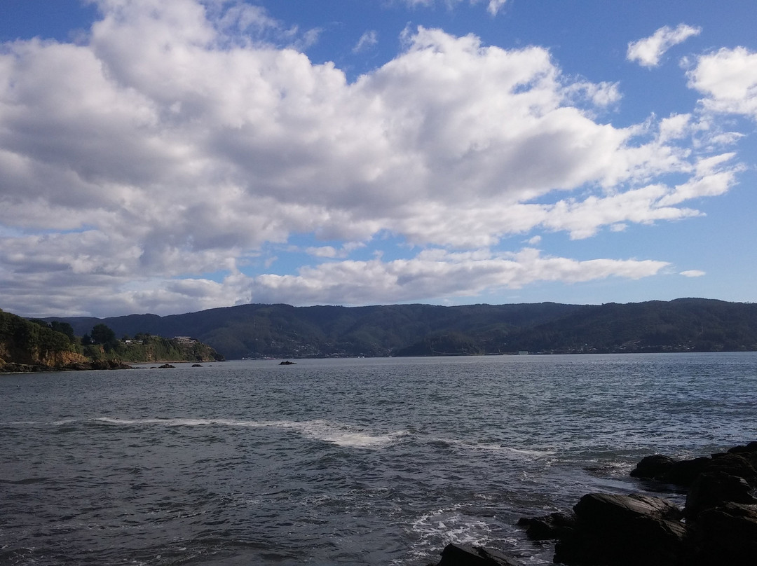 Playa Grande-Niebla必去景点