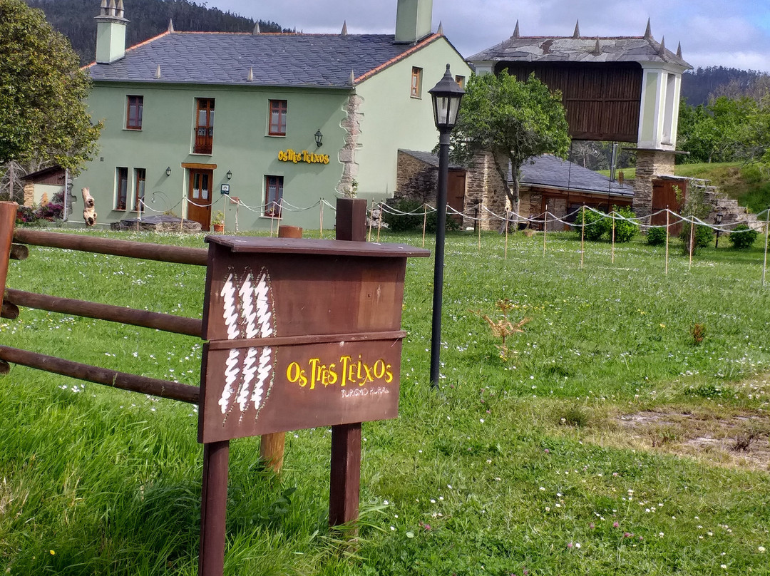 OS Tres Teixos主图