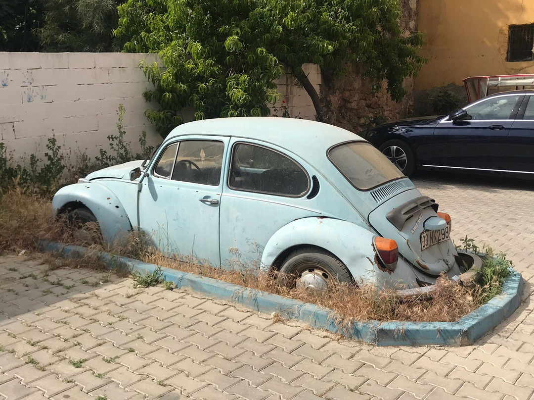 Elif Hatun Konagi主图