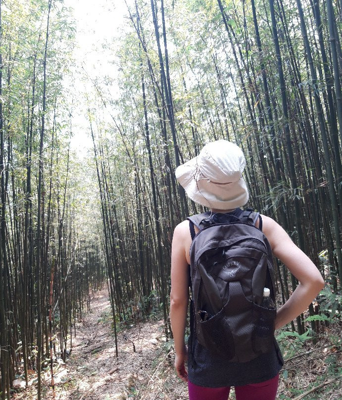 Chopai Homestay Tours景点图片