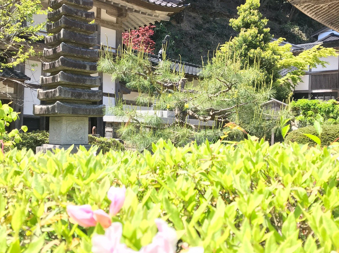 Yokoji Temple景点图片