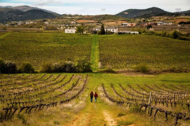 Bodega Perez Carames景点图片