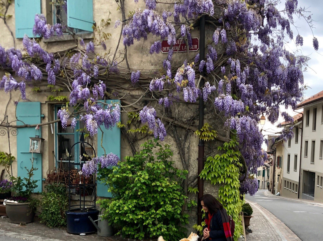 Visite à travers Aubonne-Aubonne必去景点