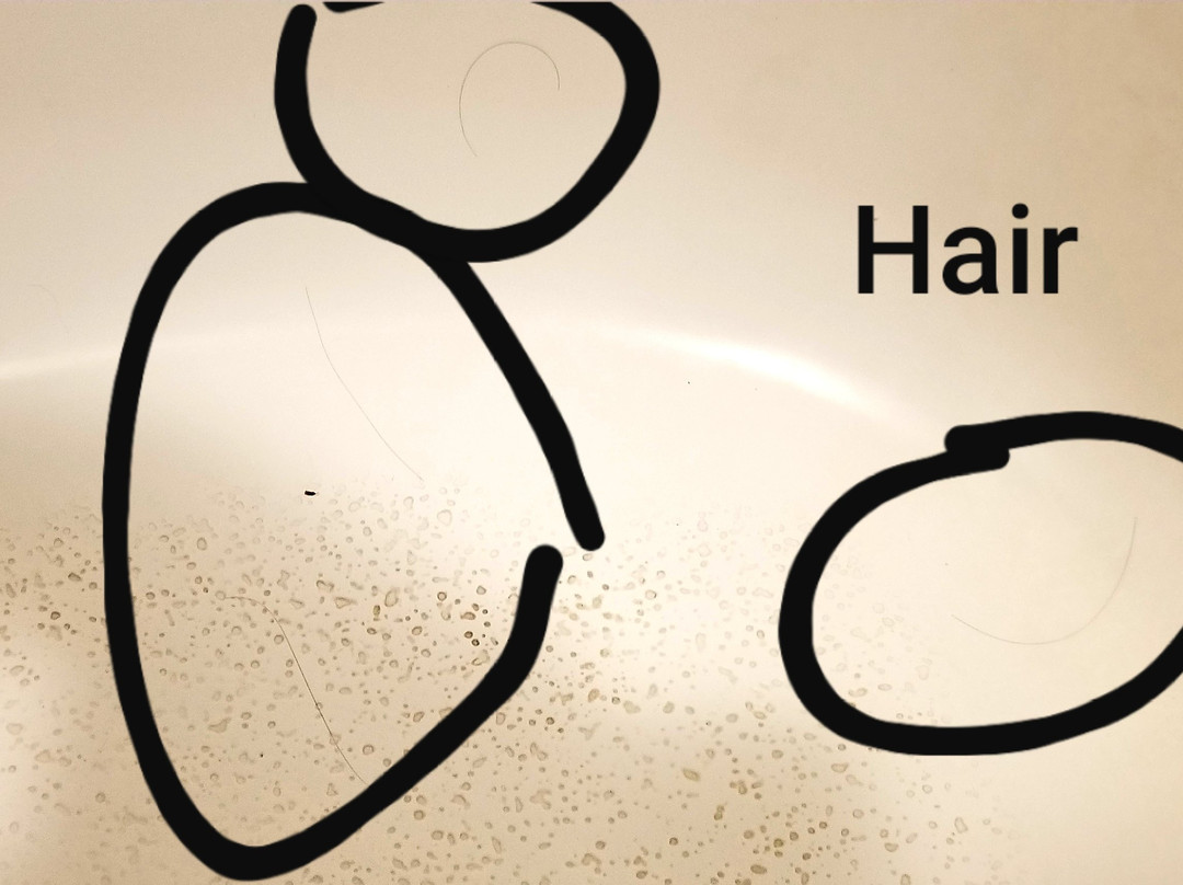 Baymont by Wyndham Gallatin主图