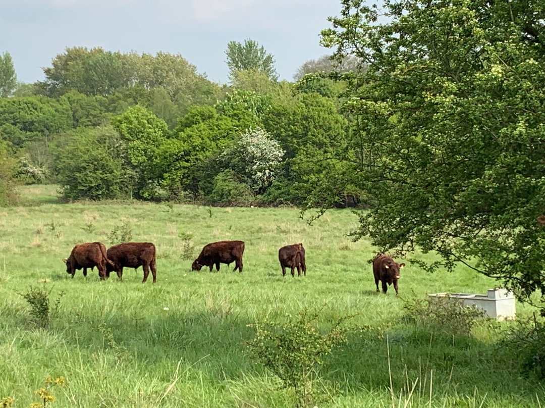 Havering Country Park景点图片
