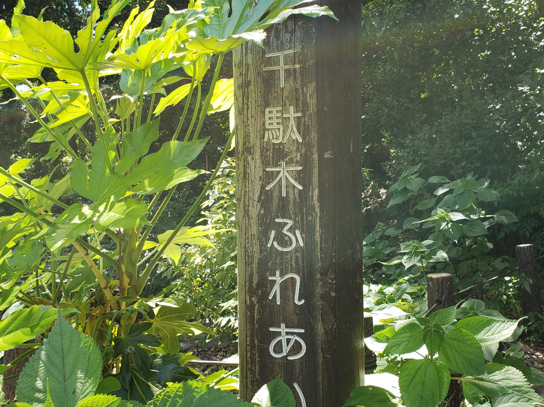 Sendagi Fureai no Mori-Sendagi必去景点