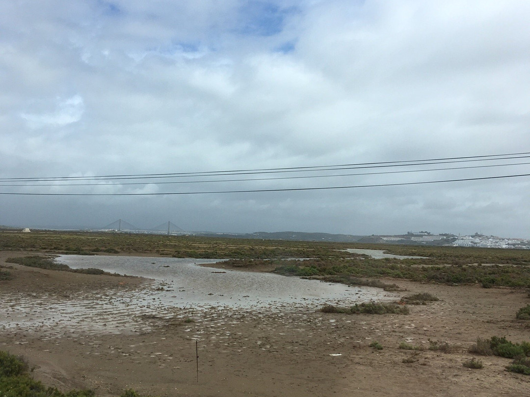 Guadiana International Bridge景点图片