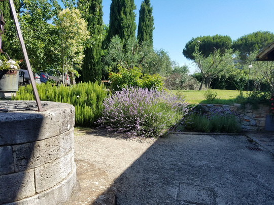 Sarna Residence主图