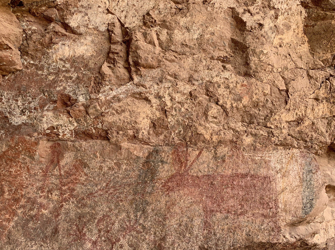 Mulege Tours - Day Tours-Mulege必去景点