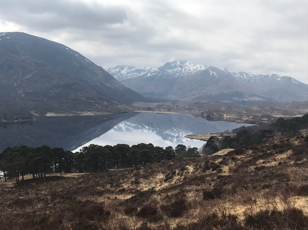 Loch Affric Circular Walk景点图片
