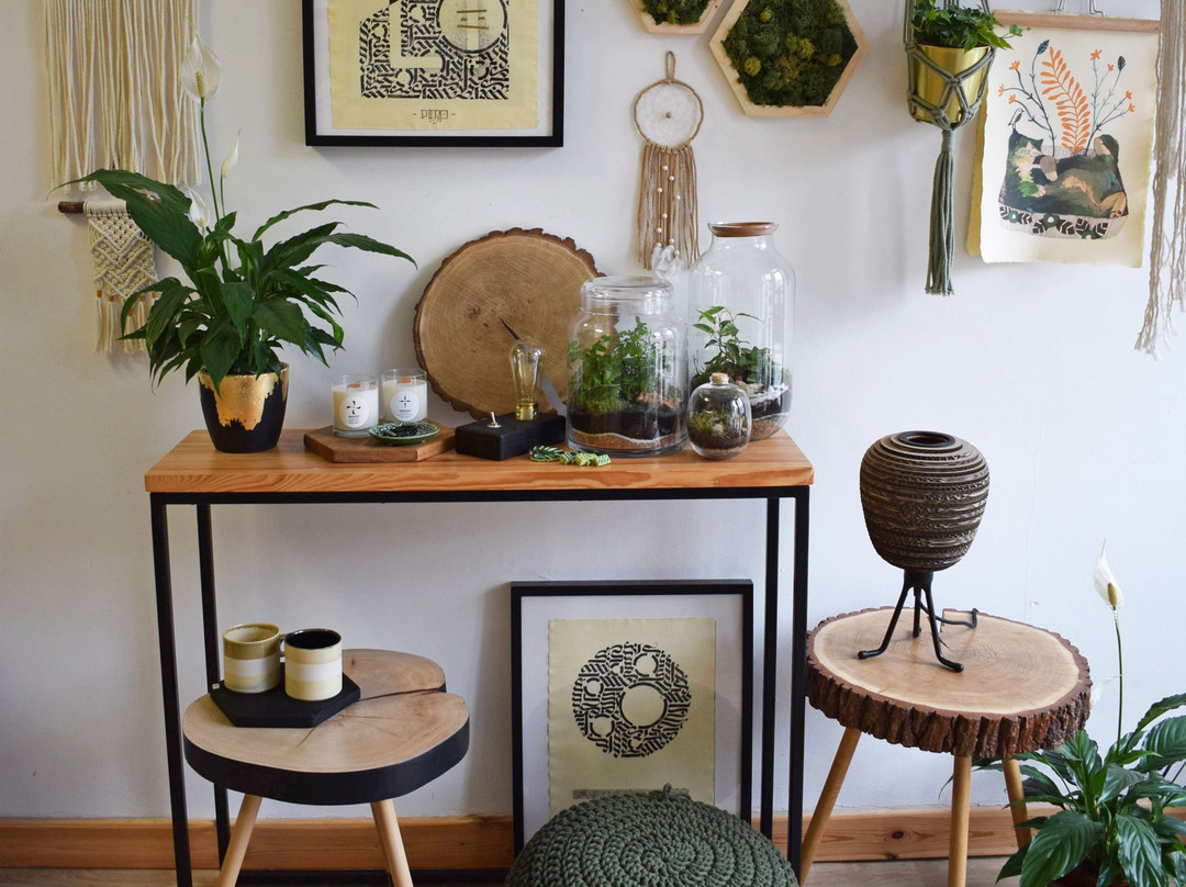 Natura Rzeczy-弗罗茨瓦夫必去景点