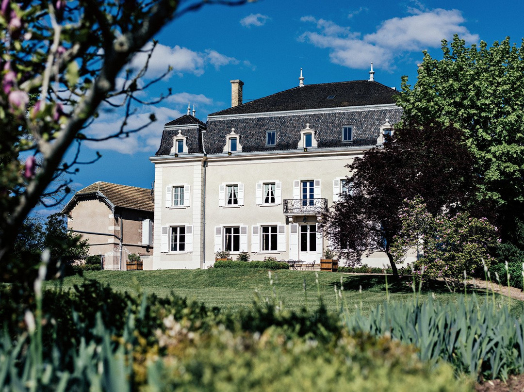 Château du Moulin-à-Vent景点图片