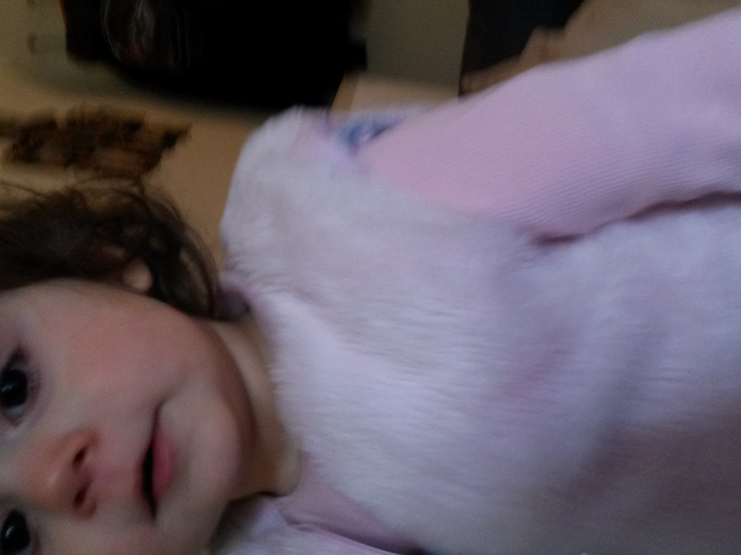 Olympion Hotel主图