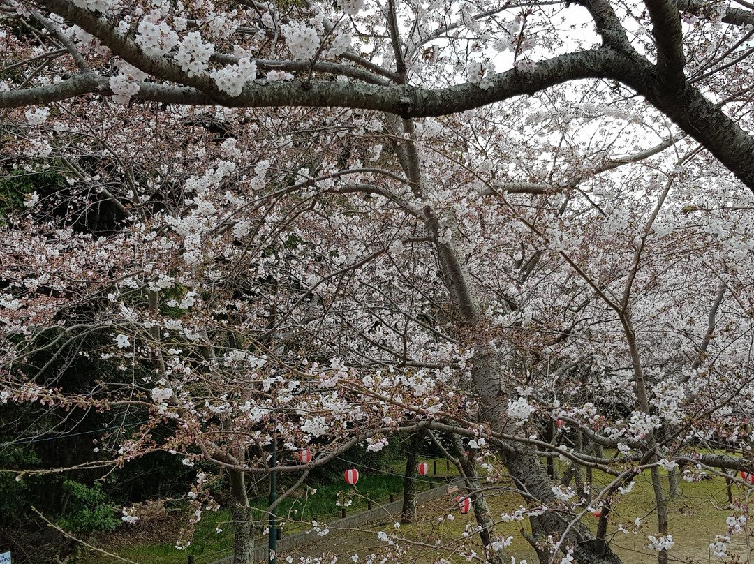 Shiroyama Park景点图片