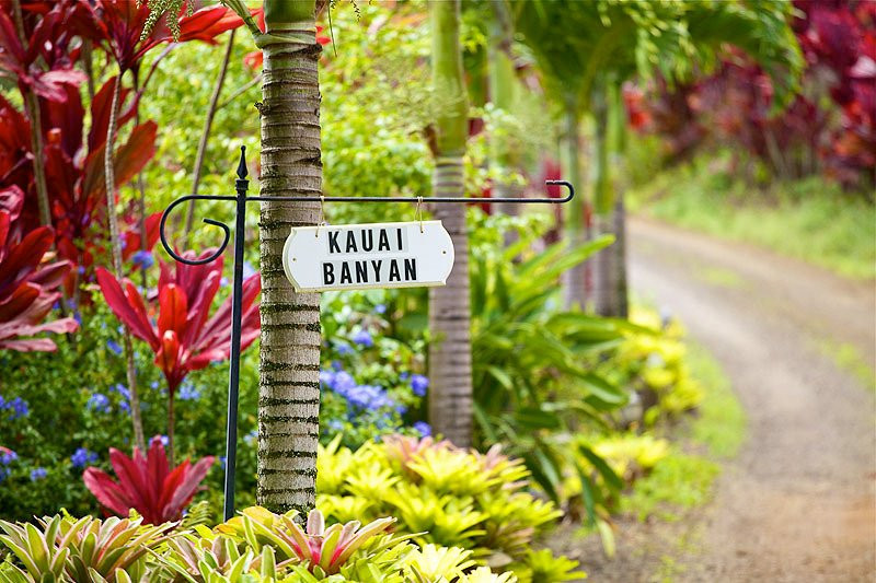 Kauai Banyan Inn主图
