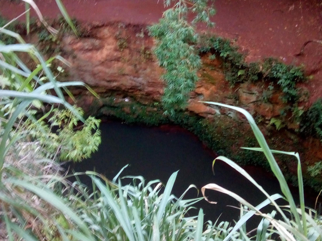 Parque Florestal dos Pioneiros-Maringa必去景点