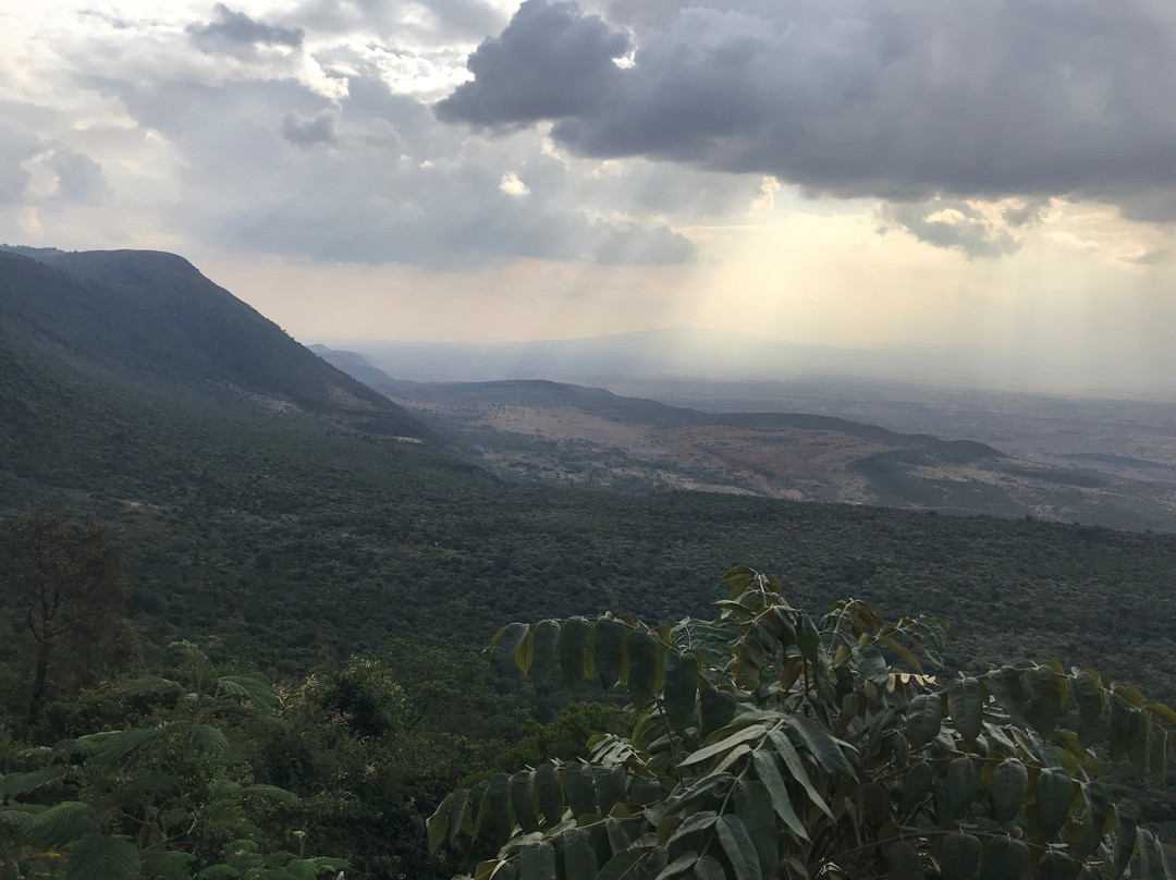 Maasai Mara National Reserve-纳罗克必去景点