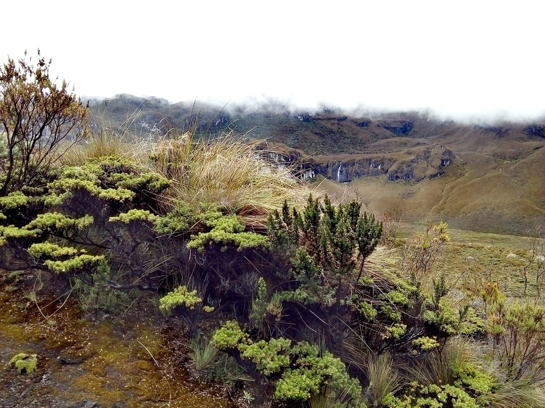 Lake Otun-佩雷拉必去景点